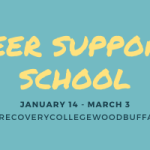 Peer support school